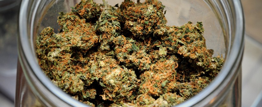 Heated Methods of Drying Leaves and Buds