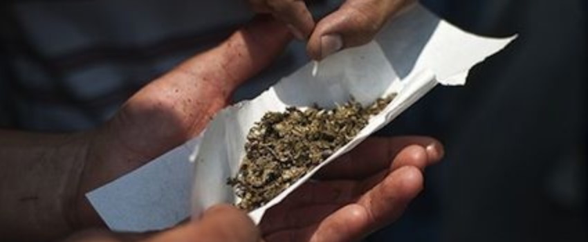 How to Know When Your Marijuana Is Dry Enough