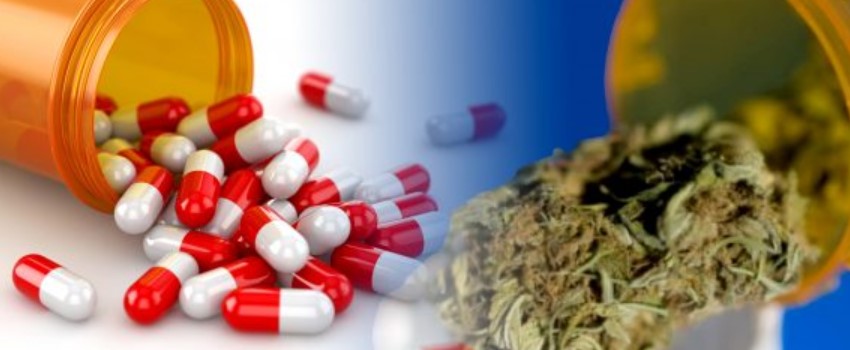 Medical Cannabis as an alternative for opioid treatments