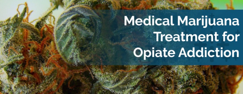 Medical Cannabis to Treat Opioid Addiction