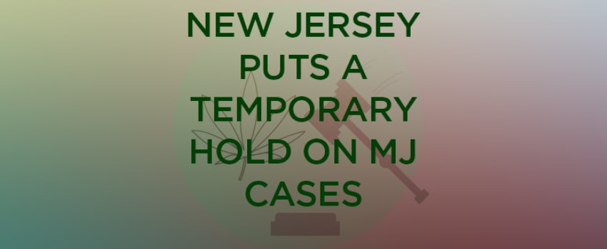 New Jersey Cannabis
