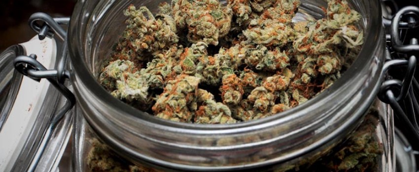 Storing Marijuana Long Term