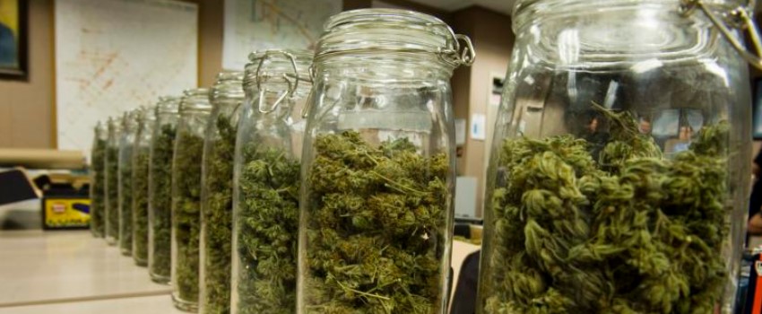 The Curing Process