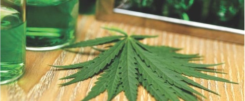 The route to the Legalization of Recreational Cannabis