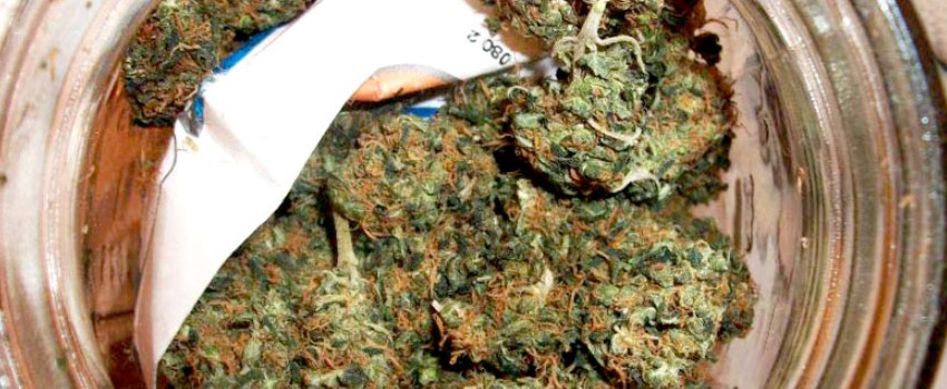 Wet Curing Marijuana