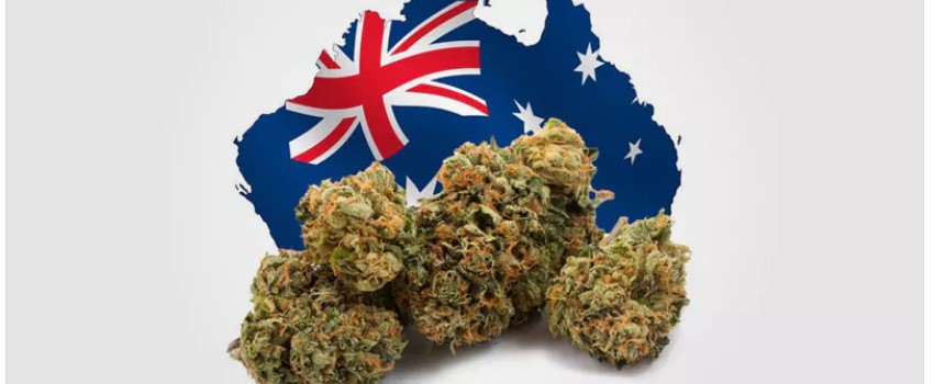 Australian marijuana laws