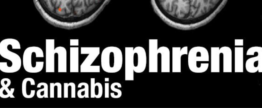 Cannabis and Schizophrenia