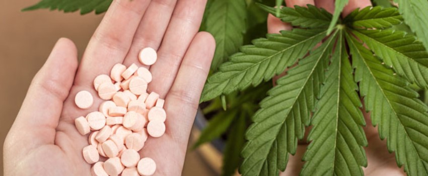 cannabis as an opioid alternative