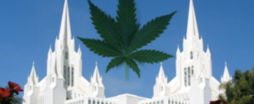 Church doctrine and the medical use of marijuana