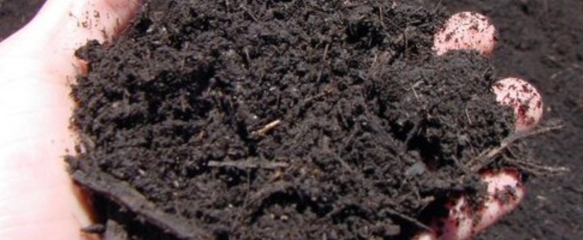 Creating a Super Soil