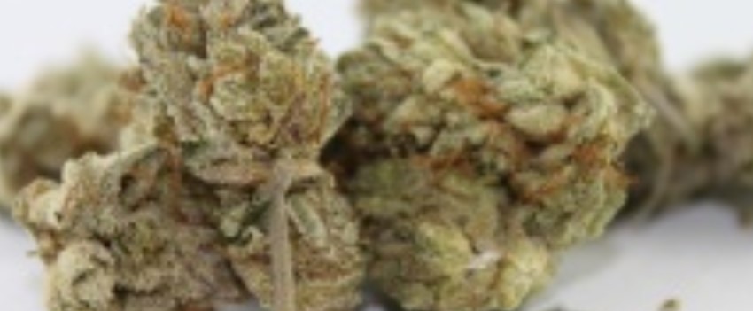 JT15 Medical