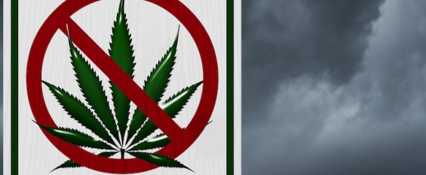 Kids The Major Reason for Opposing Marijuana Legalization