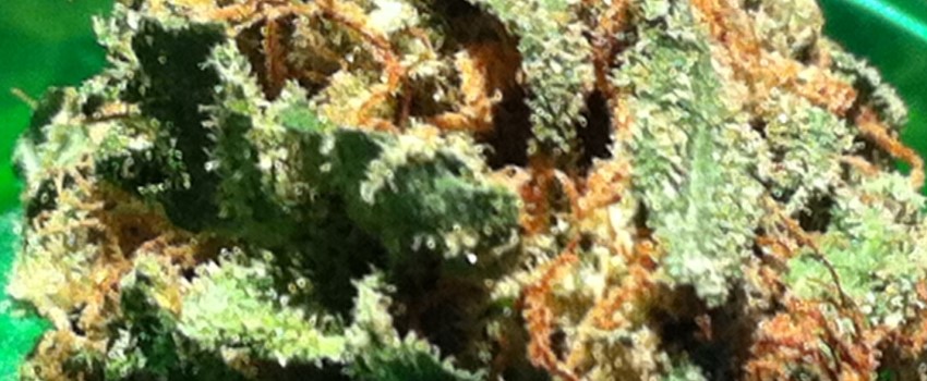 Maui Pineapple Chunk Adverse Reaction