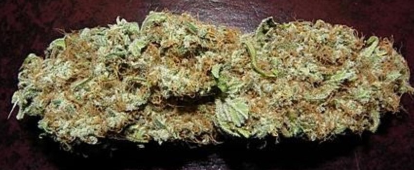 Maui Pineapple Chunk Medical