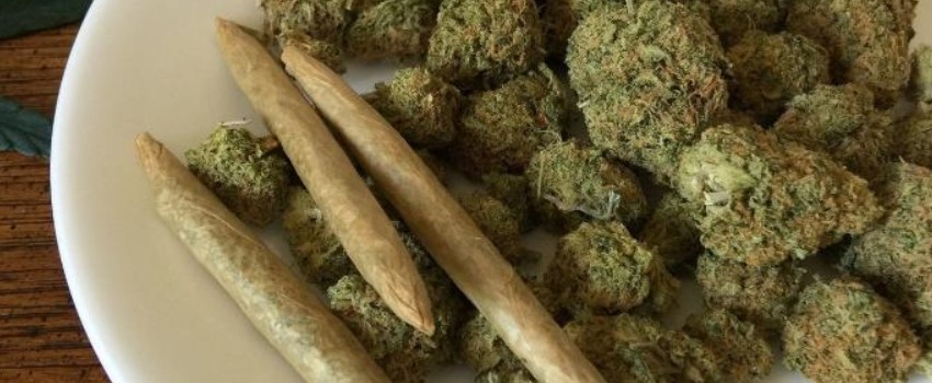 Medical Marijuana Program is Still in Limbo