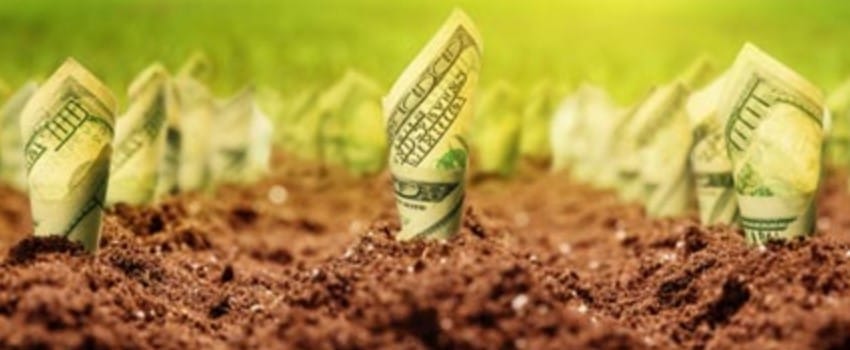 Michigan Regulation and Taxation of Marihuana Act