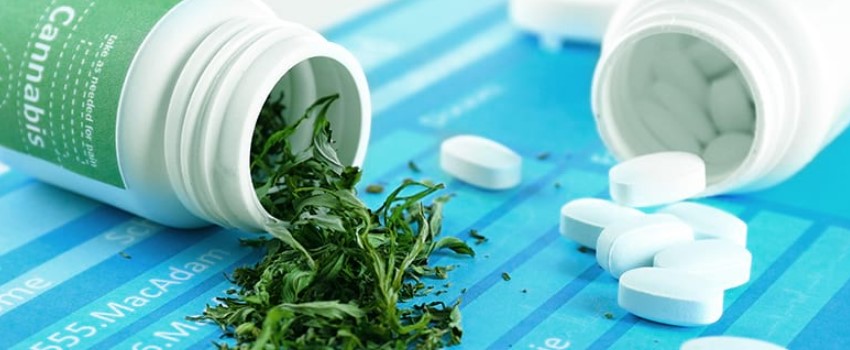Opioid and medical cannabis