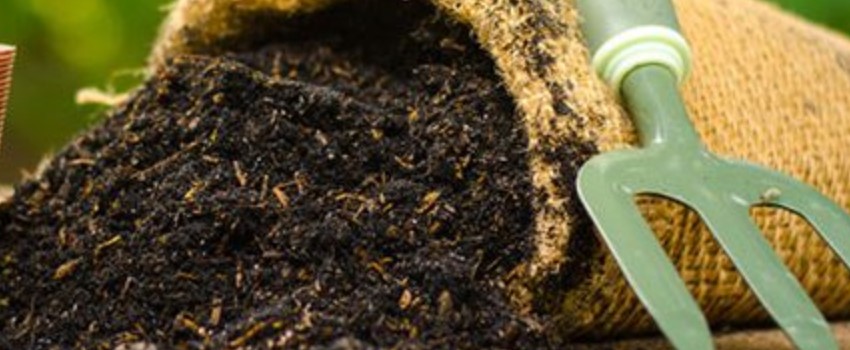 Recognizing good soil