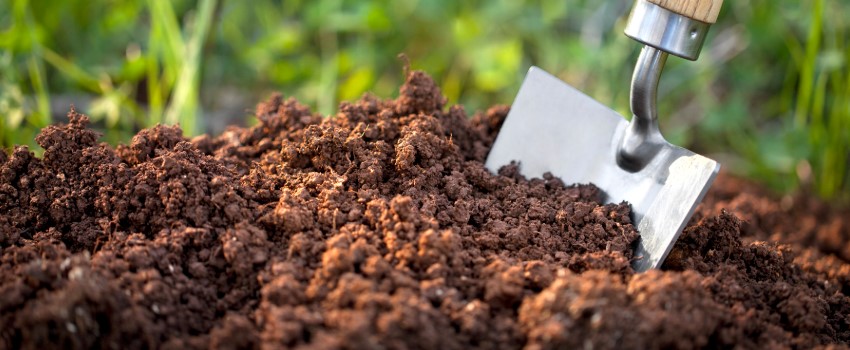 The composition of soil