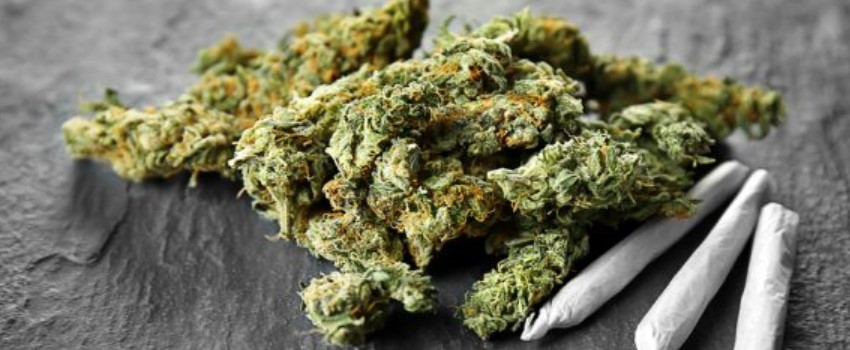 Workplace laws and legal medical marijuana programs