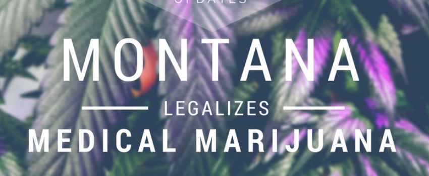 A growing medical cannabis program