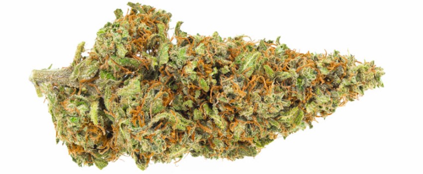 CBD Mango Haze Medical