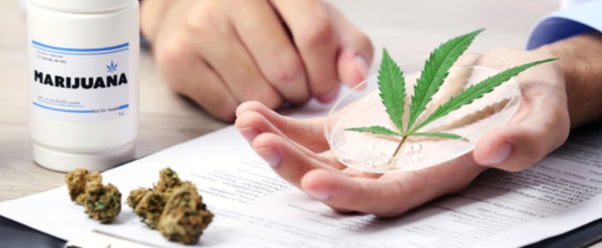 CBD for Medical