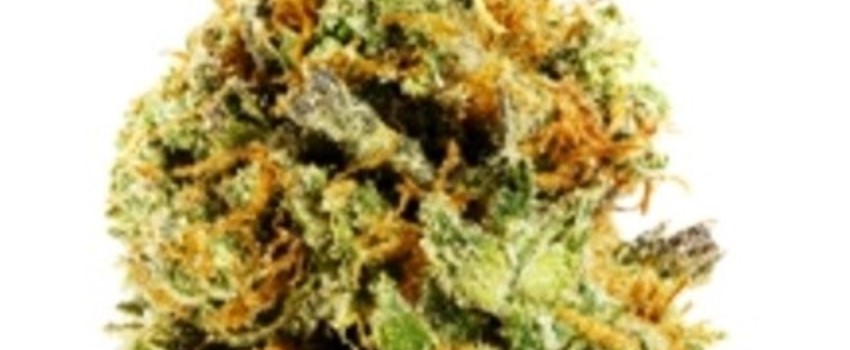 DelaHaze Medical