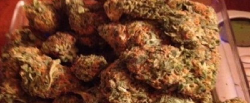 Frosted Freak Adverse Reaction