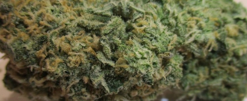Frosted Freak Effects