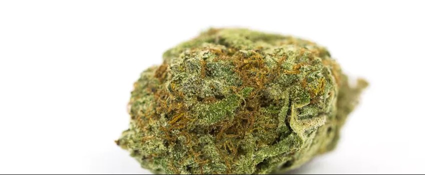 Green Lantern Medical
