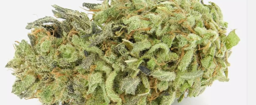 Sour Poison Effects