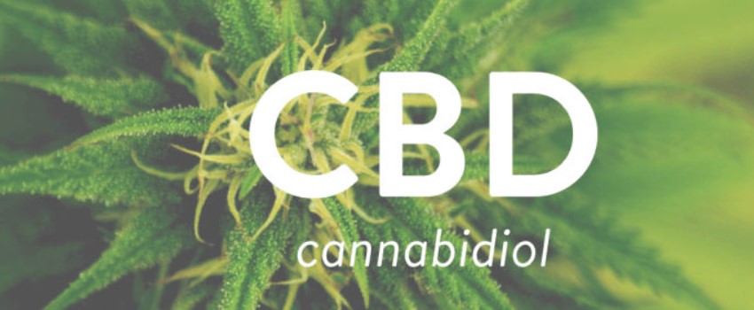Study of CBD
