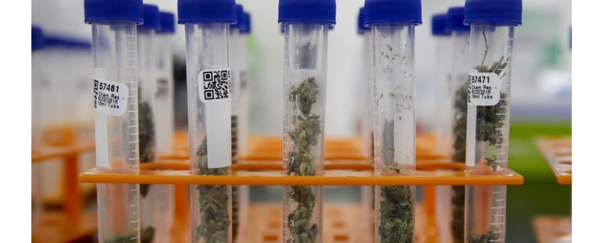 marijuana products are failing lab tests in California
