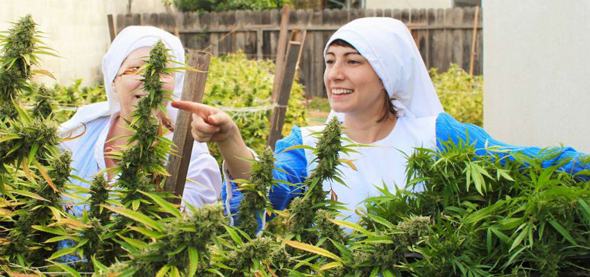 sisters of the valley crops