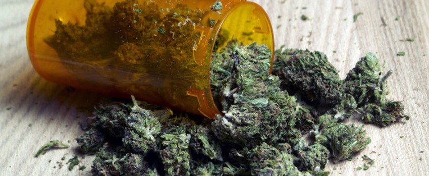 A healthy support for medical marijuana and drug reforms