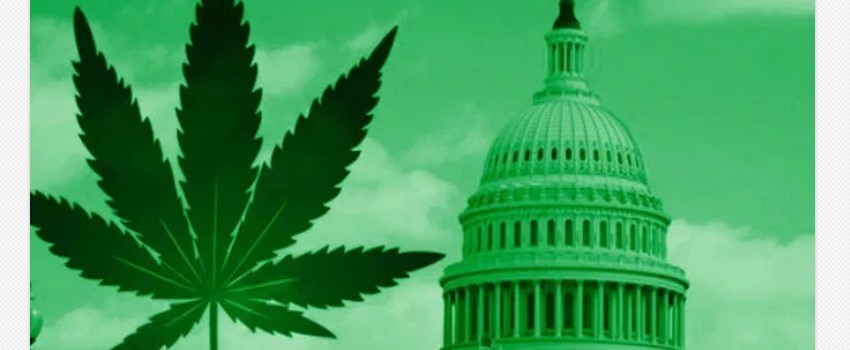 Federal government
