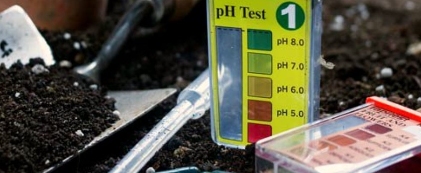 Measuring the pH of Soil