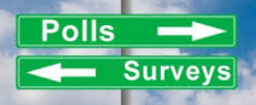 Polls and surveys