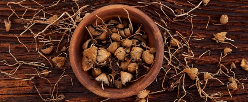 Psilocybin