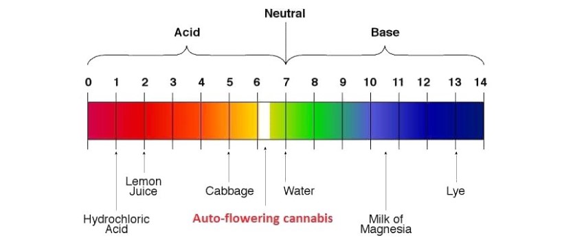 Ensuring correct pH levels