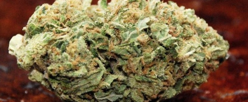 Skunk 47 Medical
