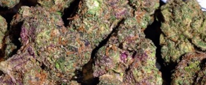 Sunset Haze Medical