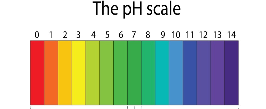 pH scale
