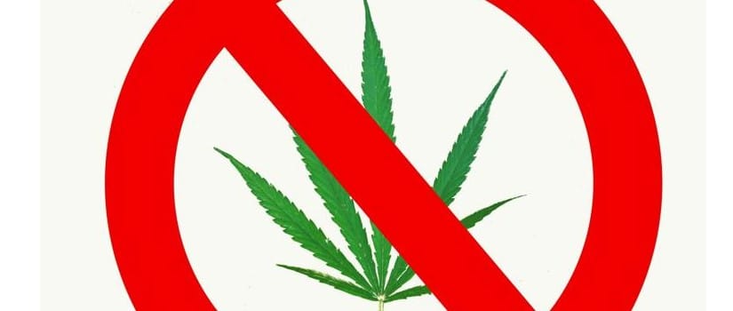 Anti-Cannabis Groups