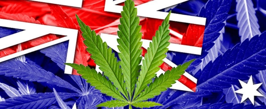 Australia MMJ is in uphill battle