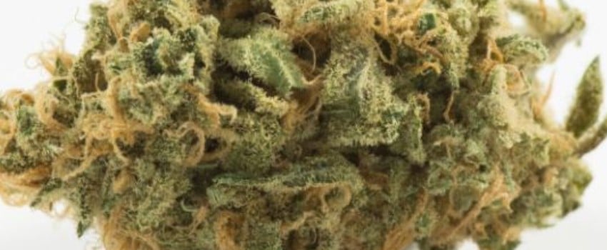Blue Persuasion Medical