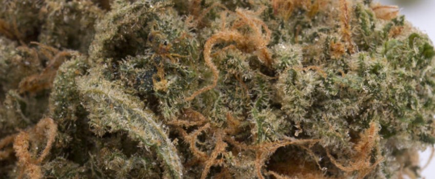 Blue Treat Effects