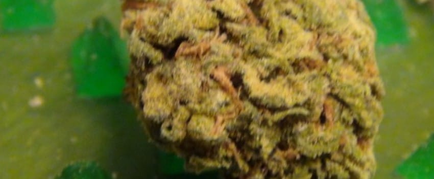 Blue Treat Medical