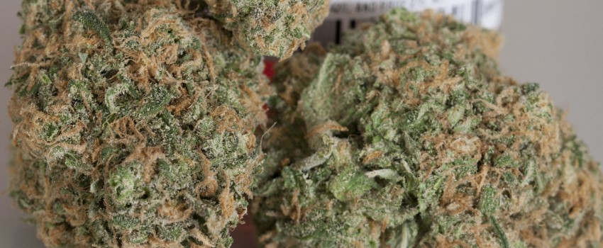 Blueberry Dream Adverse Reaction